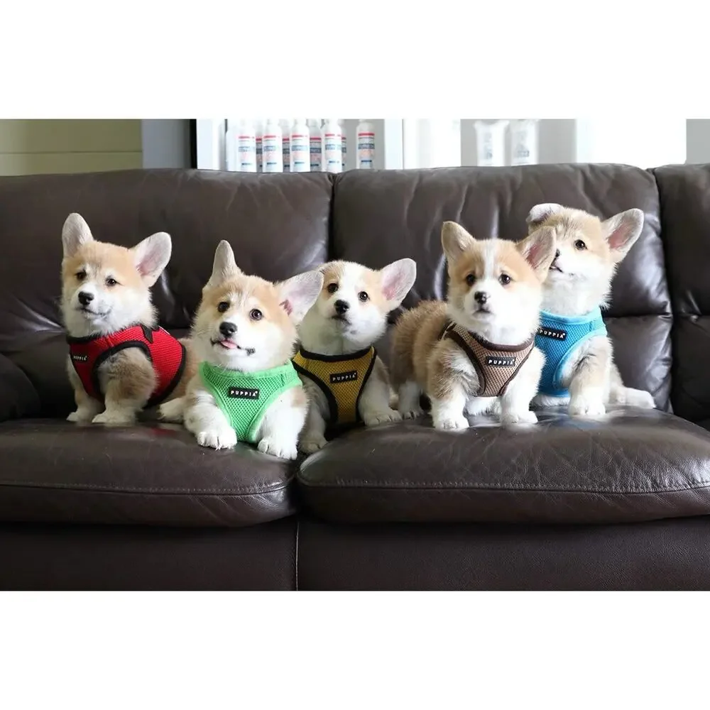 Puppia this puppia®